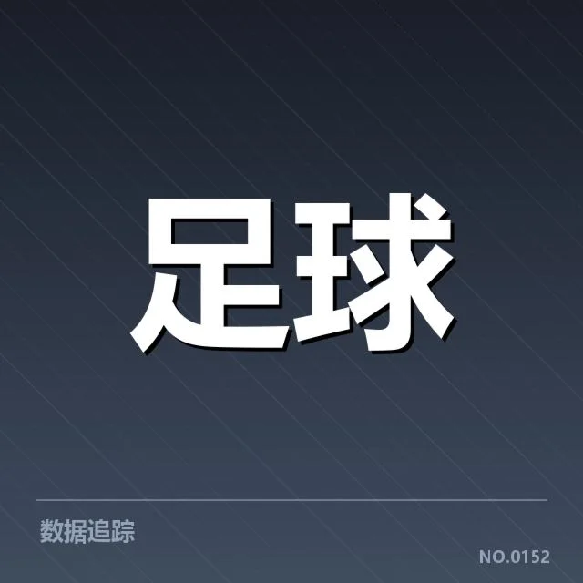 费内巴切目前财政事实核实情况